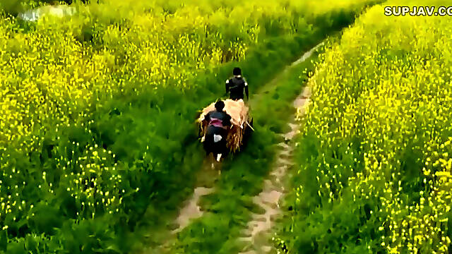 Forbidden Attic - Takeshi Hameishiro 06