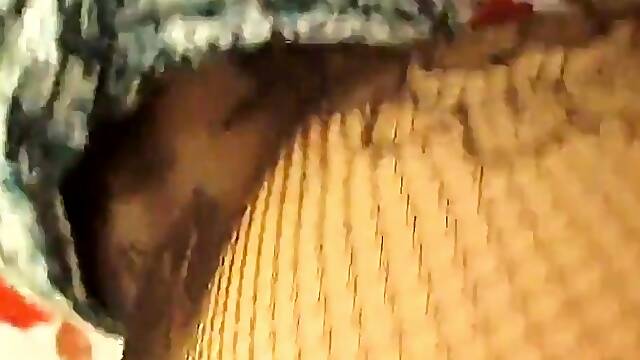 Arab Adults Featuring Algerian, Egyptian, and Moroccan Talen