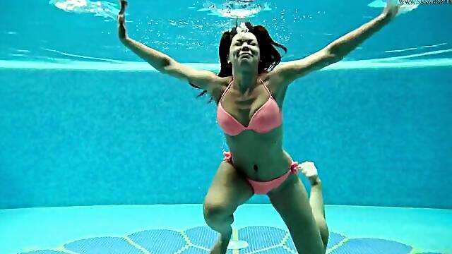 Gambling donas hungarian dirt