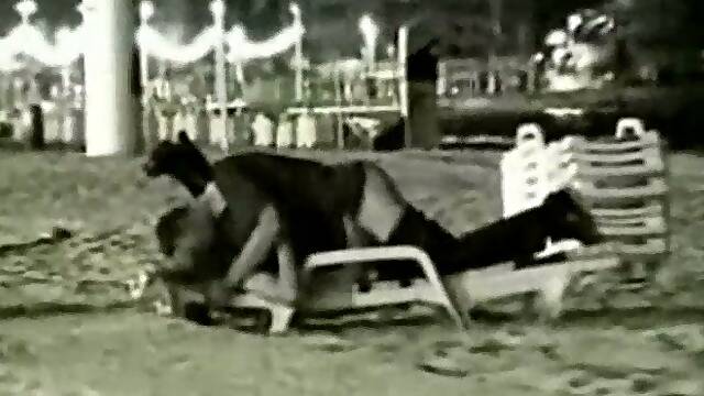 Playa Aficionados, Playa De Noche, Por La Noche Espia