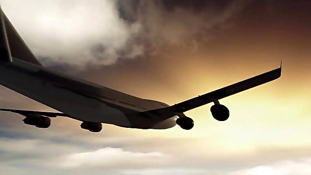 Orgia En El Avion, Delicuente