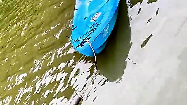 Jungle Views & Bikini Soap Bubbles