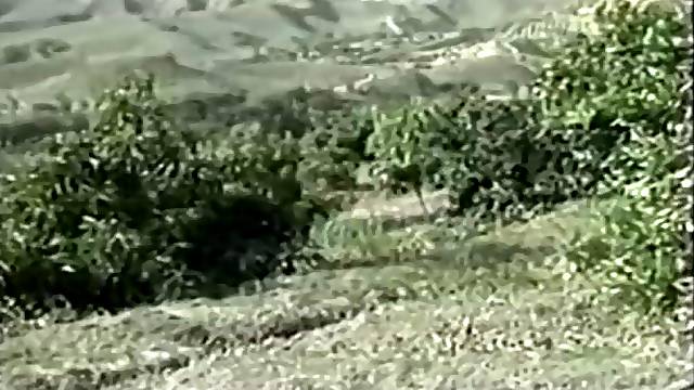 Film Completo Sborrate