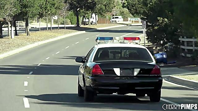 Lesbianas Pólicias, Delicuente