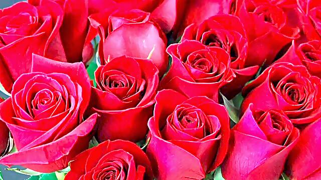 Bangla choto golpo super-sexy aunty smash by hasband buddy full story in Bangla audio story new bangla choti golpo