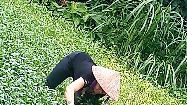 Lamer Culo Publico, Xhamster Webcam Publico, Voyeur Sex Asiaticas