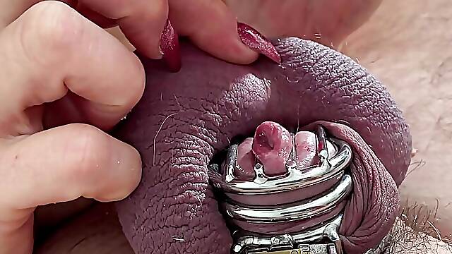 Chasteté Femdom, Amatrice Strapon Anal, Penis En Cage, Belge Cougar