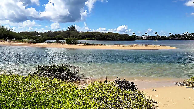 Paiko Fishpond, East Oahu, Hawaii