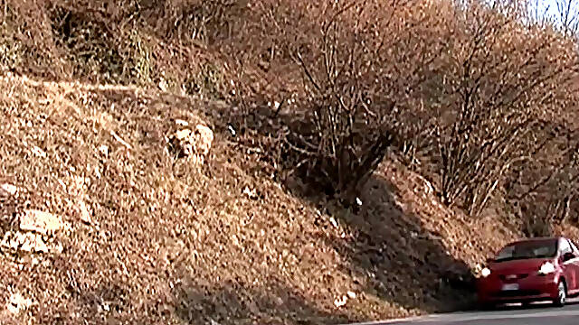 Hot Blonde MILF Caught in the Countryside While Shes Pissing and Ass Fucked