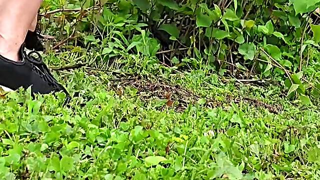 Sassy does yard work