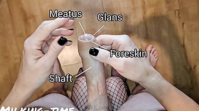 Educational Penis Head Polishing Massage Male POV