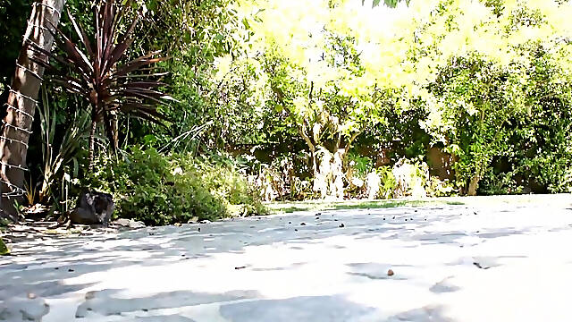 Top Models Passionate Blowjob and Pussy Ride Ecstasy