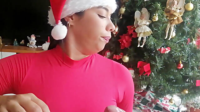 Christmas Blowjob with Cum Swallow