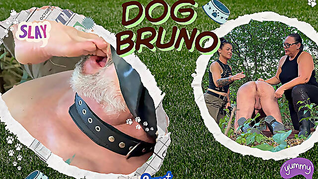 Pet Bruno in the Park